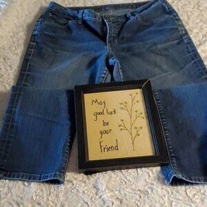 Jag Jeans Skinny Boyfriend Blue Sz 14 Jeans with Pockets